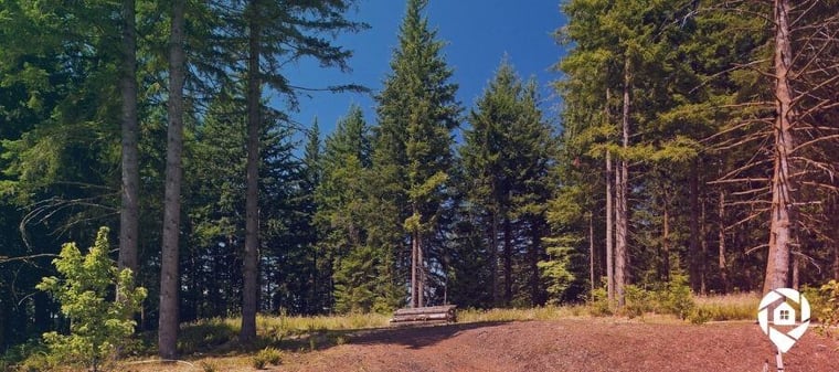 Profitable U.S. land—flipped remotely from overseas.