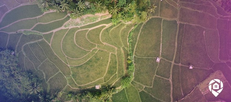 An aerial view of back tax land.