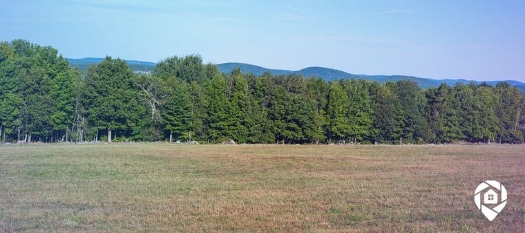 Vacant land with trees and mountains in the background – ideal for real estate investing and land flipping.